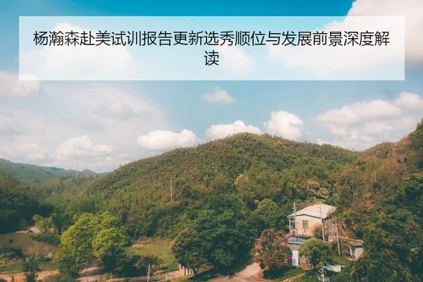 杨瀚森赴美试训报告更新选秀顺位与发展前景深度解读